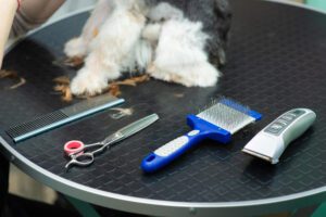 Best Dog Clippers