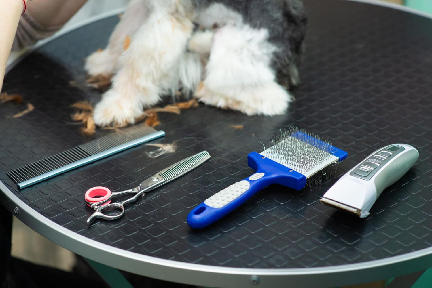 Best Dog Clippers