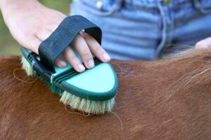 Horse Body Brush
