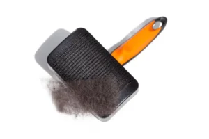 Cat Slicker Brush