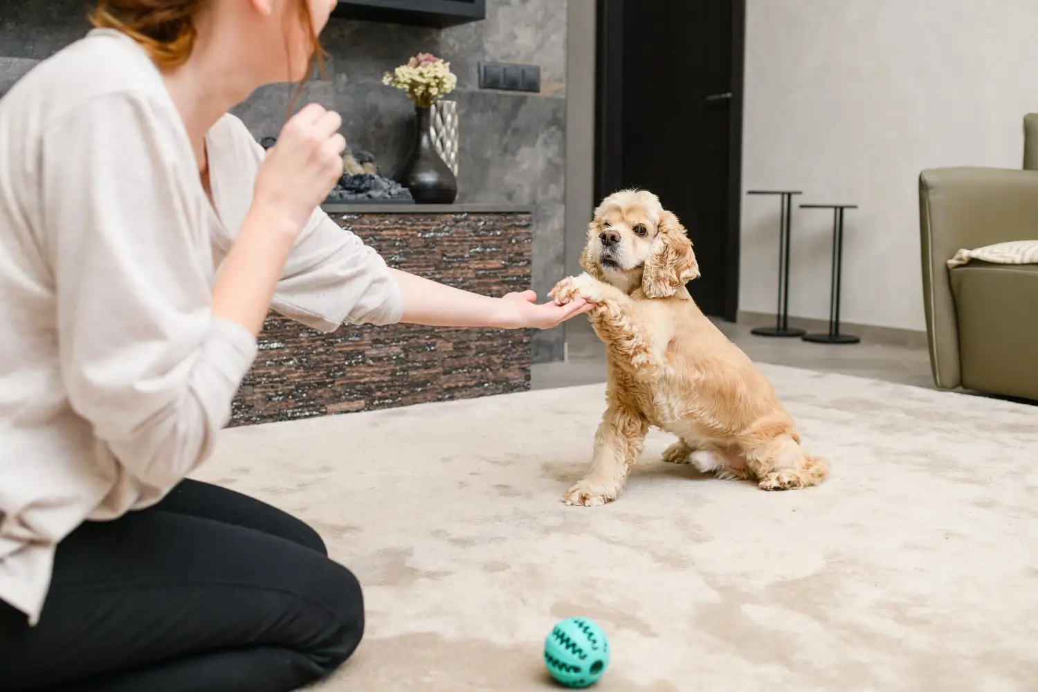 Stress-free pet grooming