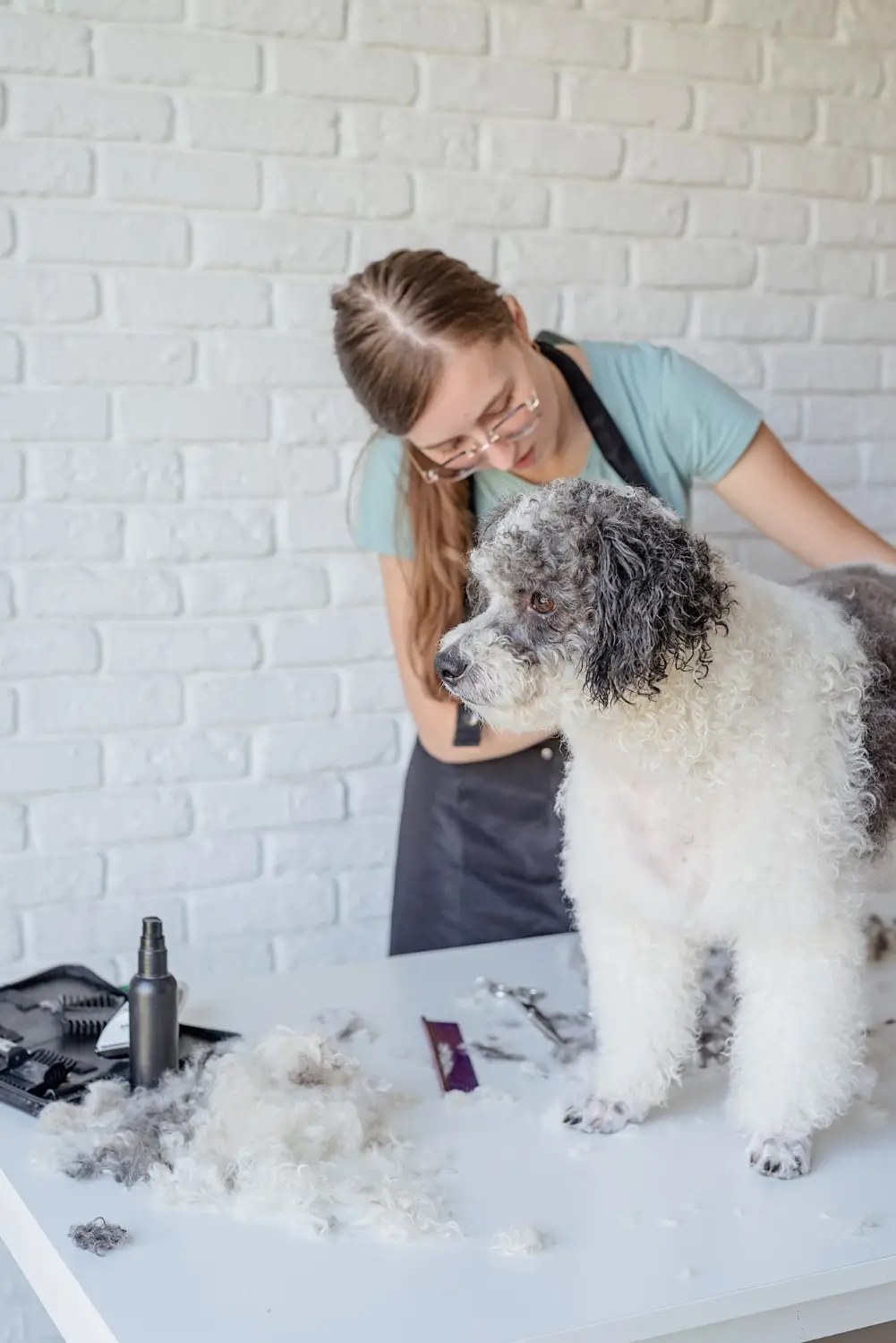 How To Groom A Matted Dog