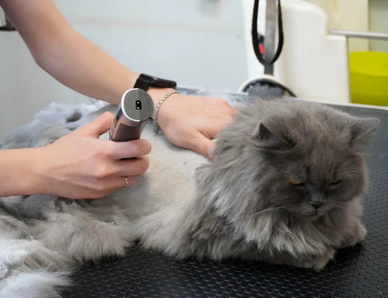 Why Professional Clippers Are Needed for Pet Grooming at Home